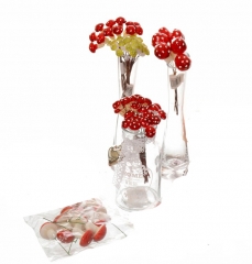 69 Dekorativne pečurkice